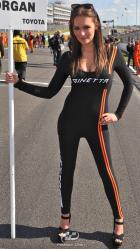 GTD Paddock Girls