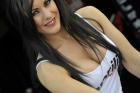 Paddock Girls 2015