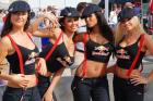 Paddock Girls 2015